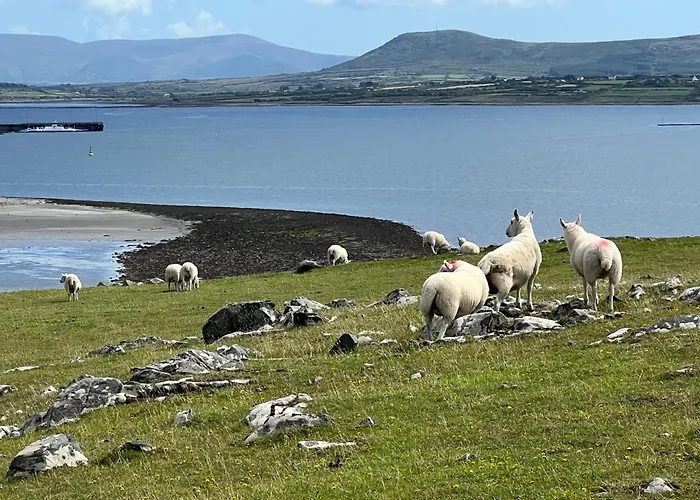 Exlusive Modern Living On Valentia Island Apartament